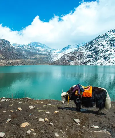 Sikkim